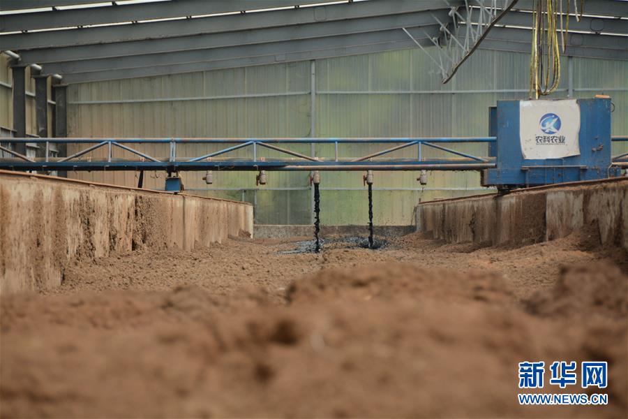 （在習(xí)近平新時(shí)代中國(guó)特色社會(huì)主義思想指引下&mdash;&mdash;新時(shí)代新作為新篇章&middot;總書記關(guān)心的百姓身邊事&middot;圖文互動(dòng)）（5）大污染變身&ldquo;大寶藏&rdquo;：治理畜禽糞污，他們這樣干！