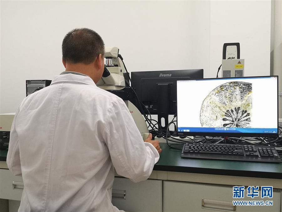 （新華調(diào)查&middot;新中國考古重大發(fā)現(xiàn)&middot;圖文互動）（5）?；韬睿翰粌H僅是&ldquo;黃金大墓&rdquo;