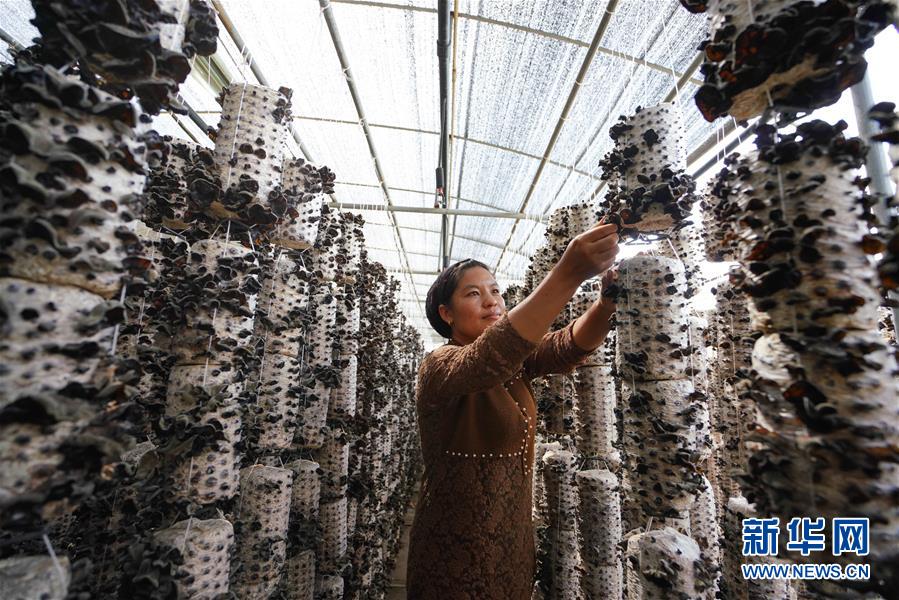 (新華全媒頭條·決戰(zhàn)決勝脫貧攻堅(jiān)·圖文互動)(6)以沖刺的狀態(tài)跑出決勝的姿態(tài)——“三區(qū)三州”甘肅深貧區(qū)脫貧攻堅(jiān)報(bào)告