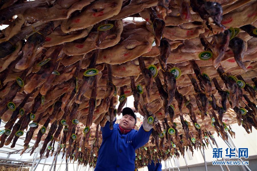 （壯麗70年&middot;奮斗新時代&mdash;&mdash;共和國發(fā)展成就巡禮&middot;圖文互動）（3）人民至上的生動實踐&mdash;&mdash;共和國民生發(fā)展成就巡禮