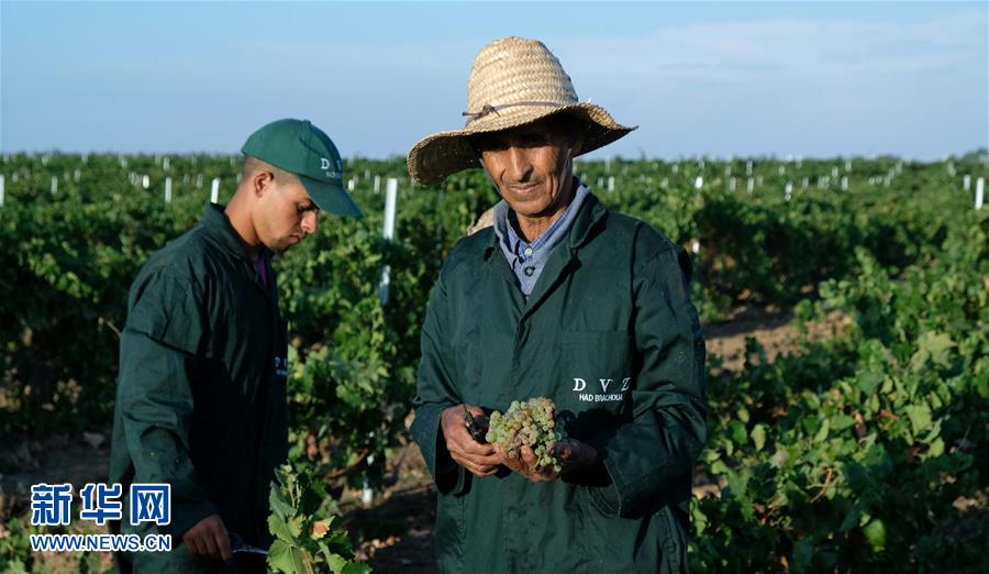 （新華全媒頭條&middot;圖文互動(dòng)）（9）攜手鑄就非凡夢想&mdash;&mdash;寫在習(xí)近平主席提出構(gòu)建更加緊密的中非命運(yùn)共同體一周年之際