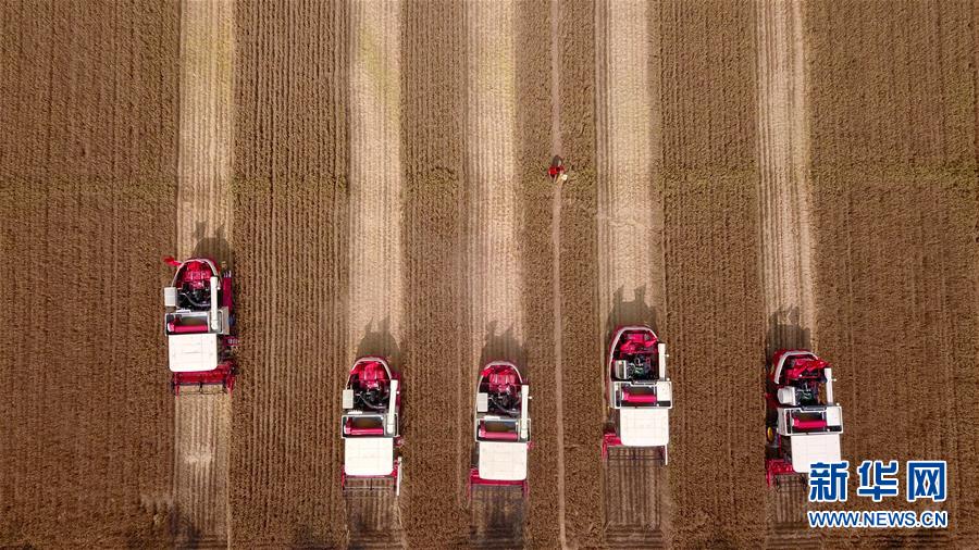 (“中國之度”系列述評(píng)·圖文互動(dòng))(8)中國速度——新中國成立70周年成就述評(píng)之三