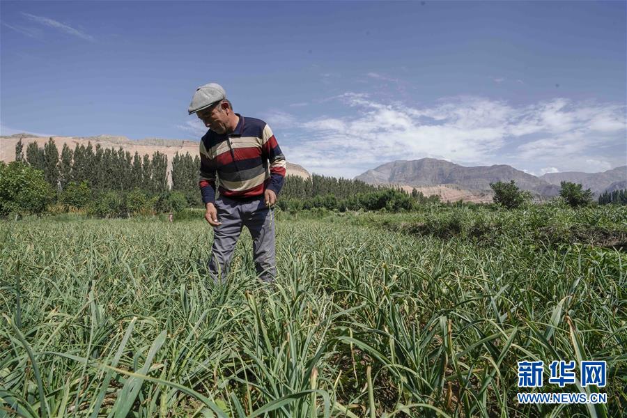 (決戰(zhàn)決勝脫貧攻堅(jiān)·圖文互動)(6)記者手記:尋訪昆侖“桃花源”的“祛病”良方