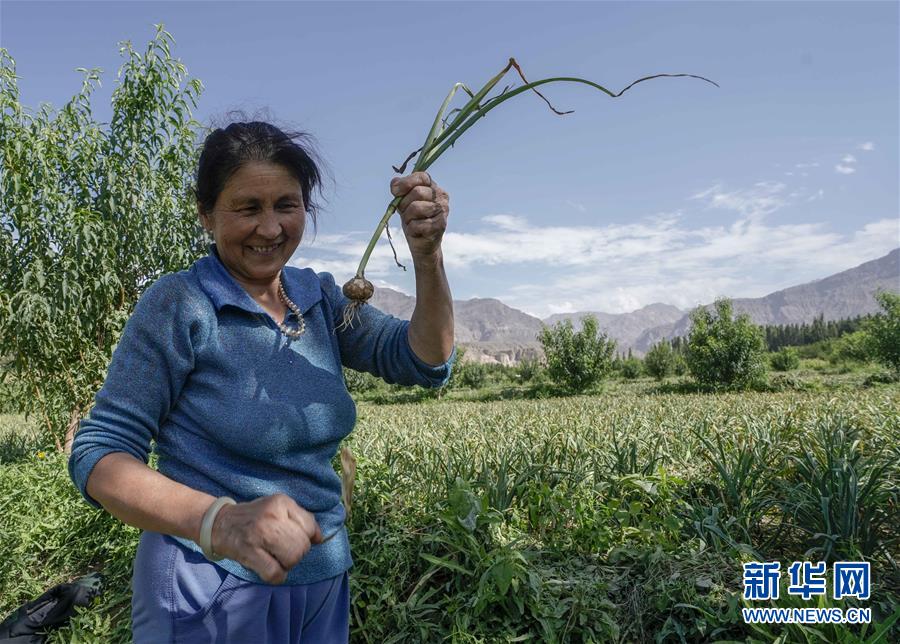 (決戰(zhàn)決勝脫貧攻堅(jiān)·圖文互動)(1)記者手記:尋訪昆侖“桃花源”的“祛病”良方