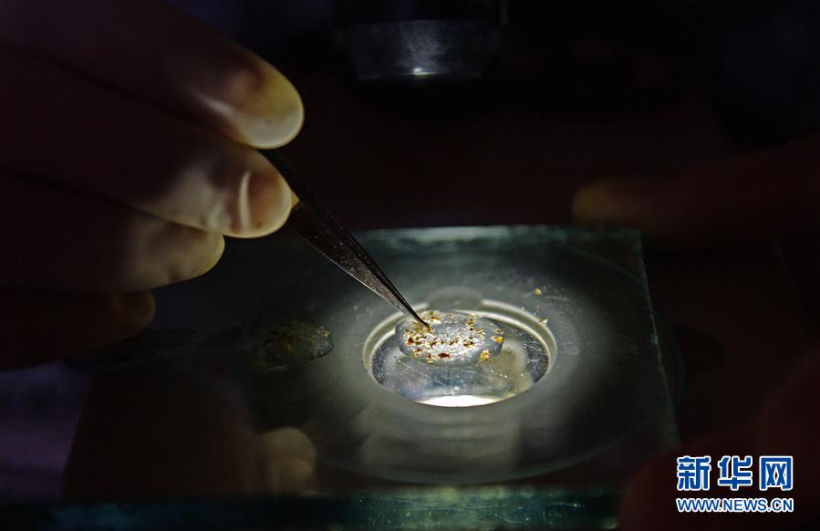 (紅土地“往事新說(shuō)”·圖文互動(dòng))(1)昔日送“瘟神” 今朝健康促小康