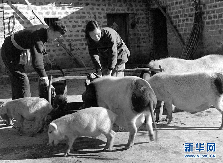 （紅土地&ldquo;往事新說(shuō)&rdquo;&middot;圖文互動(dòng)）（5）萬(wàn)里征途為初心　夫妻接力踐使命