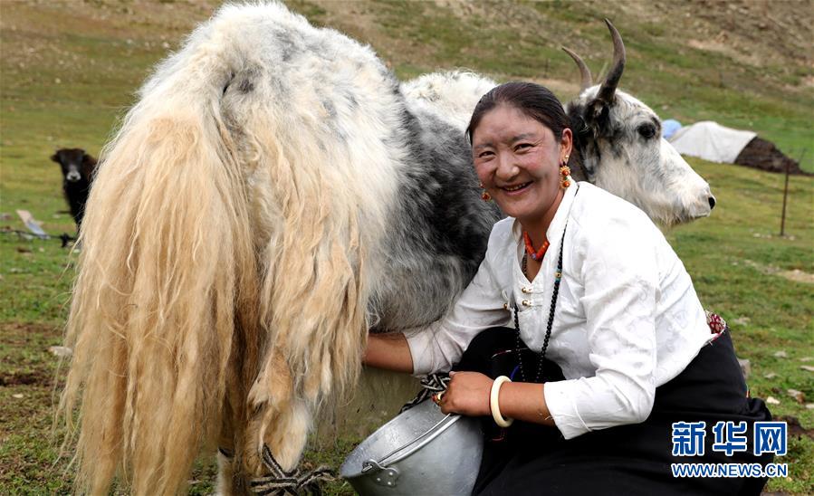 (決戰(zhàn)決勝脫貧攻堅(jiān)·圖文互動(dòng))(9)以保護(hù)促脫貧 以脫貧助保護(hù)——長(zhǎng)江源頭第一縣的生態(tài)發(fā)展選擇