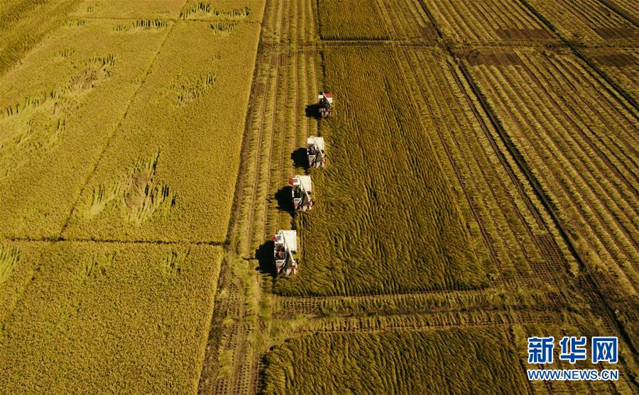 （新華全媒頭條&middot;圖文互動(dòng)）（5）紅色的傳承，藍(lán)圖的起點(diǎn)&mdash;&mdash;新中國孕育與發(fā)展的&ldquo;東北記憶&rdquo;