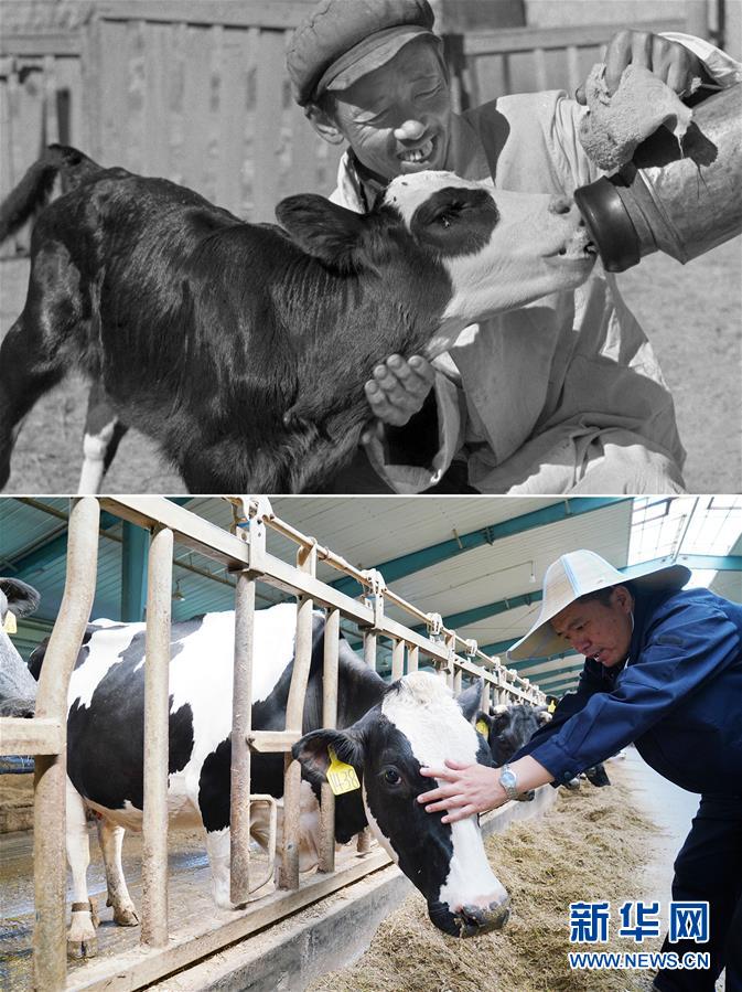 (壯麗70年·奮斗新時(shí)代)(8)70年時(shí)光流影 70行見(jiàn)證發(fā)展