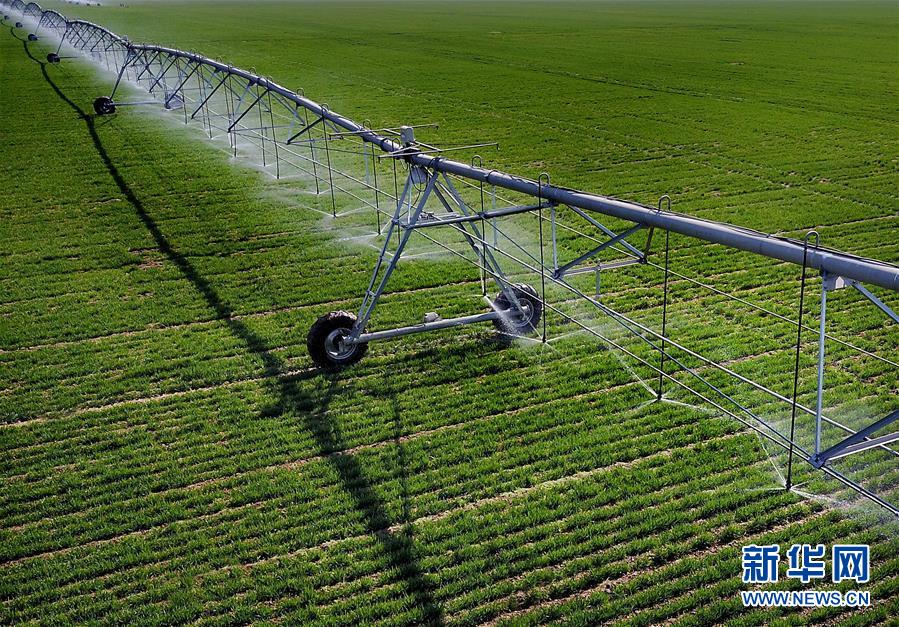 （新華全媒頭條&middot;圖文互動）（4）大國糧倉的新時代交響&mdash;&mdash;河南農業(yè)70年觀察