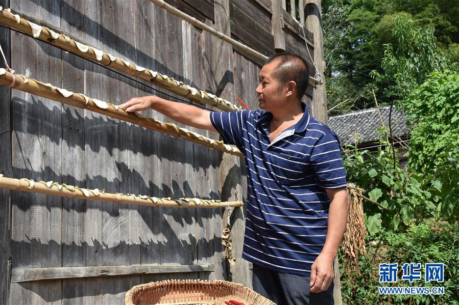 （愛國(guó)情 奮斗者&middot;圖文互動(dòng)）（2）貴州印江高石坎護(hù)林隊(duì)：半輩子，以林場(chǎng)為家