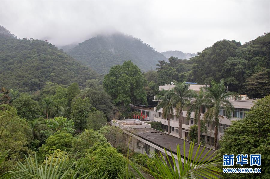 (圖文互動)(3)科學(xué)接續(xù)保護(hù) 守住生態(tài)紅線——探訪“北回歸沙漠帶上的綠色明珠”