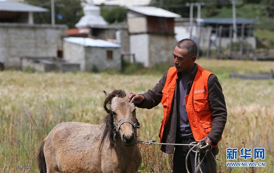 （新華全媒頭條&middot;決戰(zhàn)決勝脫貧攻堅&middot;圖文互動）（4）為了人與自然和諧共生&mdash;&mdash;云南&ldquo;三江并流&rdquo;地區(qū)決戰(zhàn)精準脫貧的&ldquo;生態(tài)畫卷&rdquo;