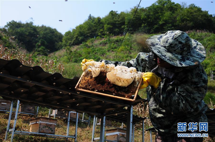 (新華全媒頭條·圖文互動)(4)永不歸來的“戰(zhàn)士”——追記倒在脫貧攻堅一線的貴州沿河縣駐村第一書記文偉紅
