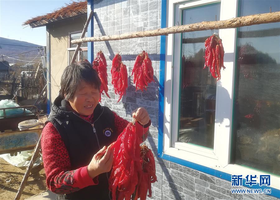 (在習(xí)近平新時代中國特色社會主義思想指引下——新時代新作為新篇章·總書記關(guān)心的百姓身邊事·圖文互動)(3)一個貧困山村的振興新動能——小故事里的大情懷之五