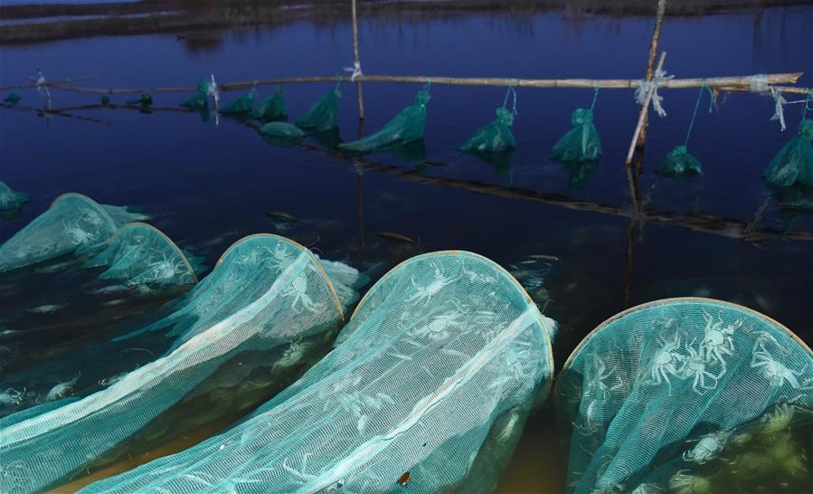 (在習近平新時代中國特色社會主義思想指引下——新時代新作為新篇章·總書記關(guān)心的百姓身邊事·圖文互動)(2)水潤民心——全國農(nóng)村飲水安全攻堅成效觀察