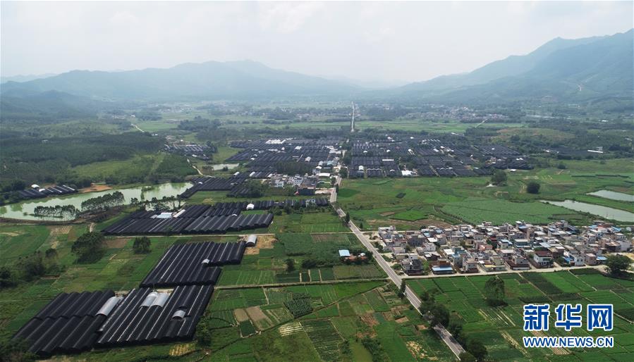 (在習(xí)近平新時(shí)代中國(guó)特色社會(huì)主義思想指引下——新時(shí)代新作為新篇章·總書記關(guān)心的百姓身邊事·圖文互動(dòng))(1)“科技秀才”給田野帶來新希望