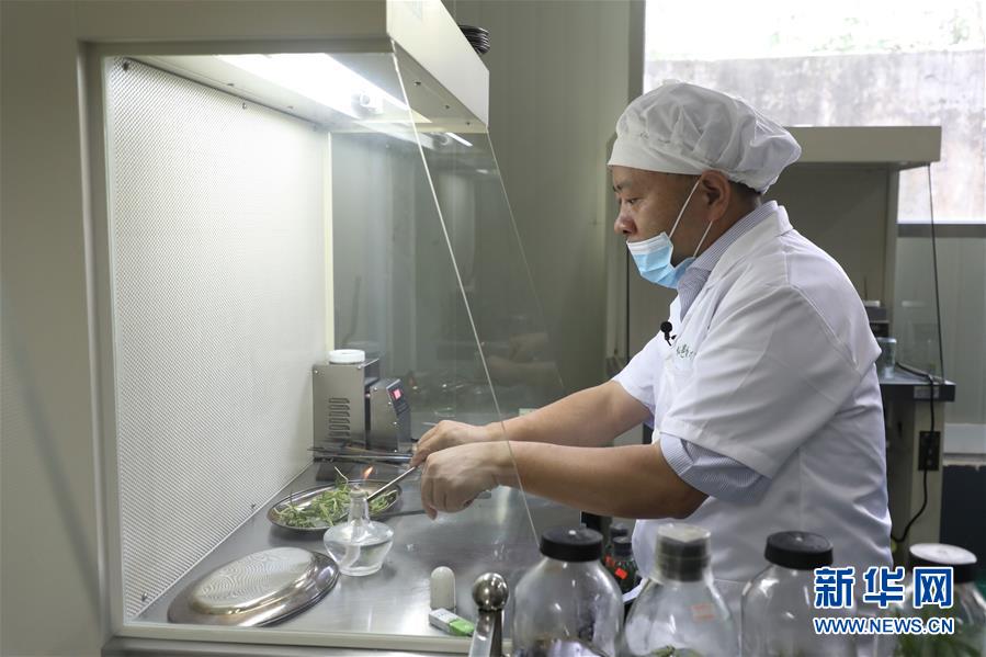 (在習(xí)近平新時(shí)代中國(guó)特色社會(huì)主義思想指引下——新時(shí)代新作為新篇章·總書記關(guān)心的百姓身邊事·圖文互動(dòng))(5)“科技秀才”給田野帶來新希望