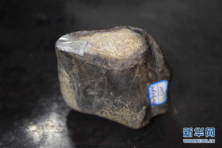 (圖文互動(dòng))(7)黑龍江海倫發(fā)現(xiàn)罕見古生物群