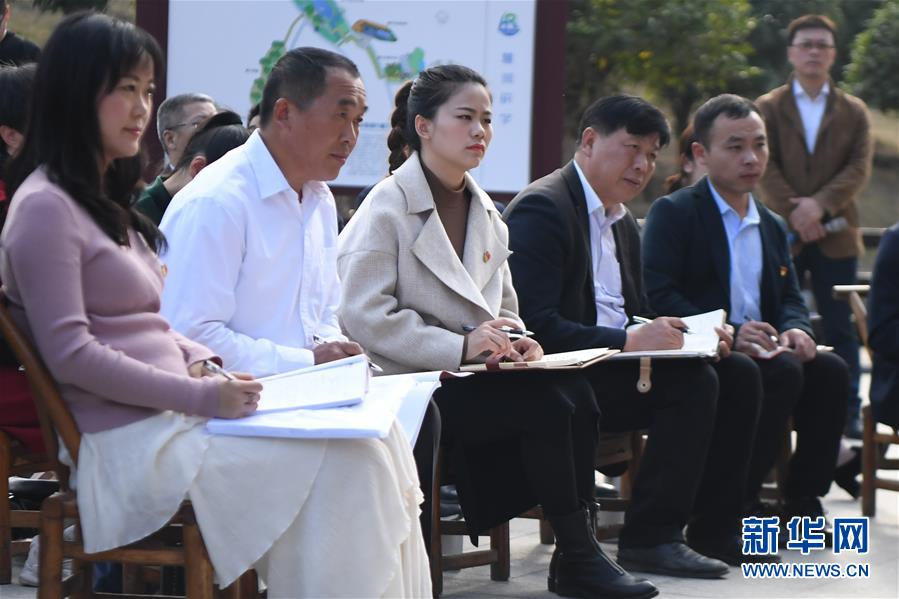 （四中全會精神在基層&middot;圖文互動）（4）學習貫徹黨的十九屆四中全會精神中央宣講團在湖南宣講