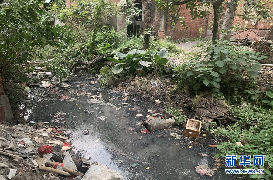 （圖文互動）（1）河長職責寫得明明白白，條條舉措無一落實&mdash;&mdash;國務(wù)院檢查組暗訪核查佛山一農(nóng)村河涌黑臭十余年無人管理