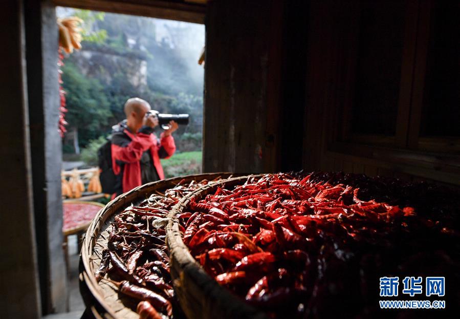 （圖文互動(dòng)）（6）鄉(xiāng)村攝影師、鄉(xiāng)村&ldquo;模特&rdquo;、民宿店主&mdash;&mdash;鄉(xiāng)村旅游推動(dòng)婺源農(nóng)民生活方式發(fā)生新變化