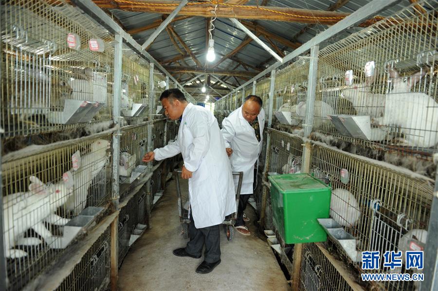 （新華全媒頭條&middot;圖文互動(dòng)）（4）干部去哪兒了？&mdash;&mdash;貴州干部大規(guī)模下沉脫貧攻堅(jiān)一線紀(jì)實(shí)