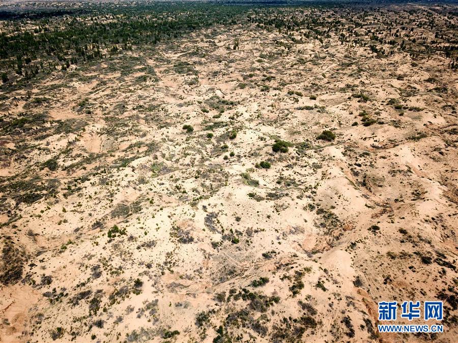 （圖文互動(dòng)）（2）陜西榆林毀林建光伏電站追蹤：還有哪些疑團(tuán)有待破解？ 