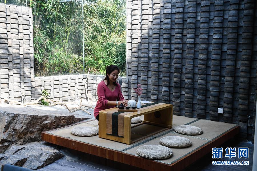 (新華全媒頭條·圖文互動(dòng))(15)大湖見證——長三角三大淡水湖綠色發(fā)展之路