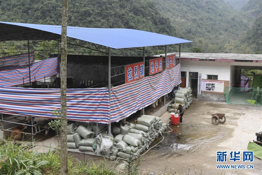 (脫貧攻堅(jiān)·圖文互動(dòng))(2)為了不讓一個(gè)貧困戶落下——追記廣西都安縣駐村第一書(shū)記黃景教