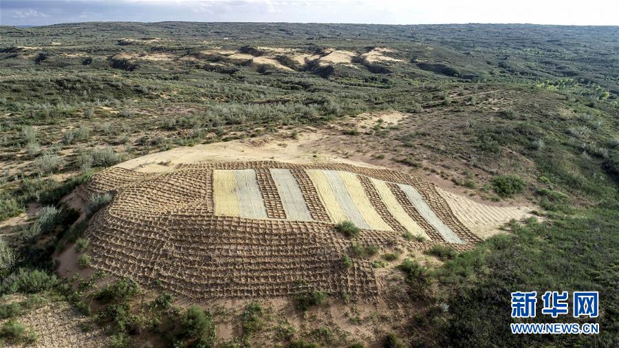 (在習(xí)近平新時(shí)代中國(guó)特色社會(huì)主義思想指引下——新時(shí)代新作為新篇章·總書(shū)記關(guān)切高質(zhì)量發(fā)展·圖文互動(dòng))(1)從一粒沙看不斷擴(kuò)大的中國(guó)綠色版圖