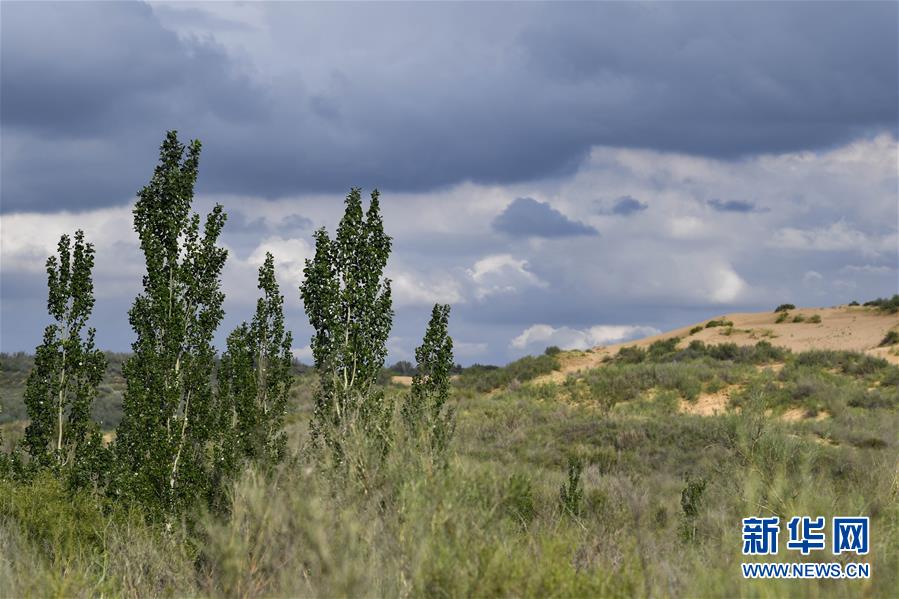 (在習(xí)近平新時(shí)代中國(guó)特色社會(huì)主義思想指引下——新時(shí)代新作為新篇章·總書(shū)記關(guān)切高質(zhì)量發(fā)展·圖文互動(dòng))(2)從一粒沙看不斷擴(kuò)大的中國(guó)綠色版圖