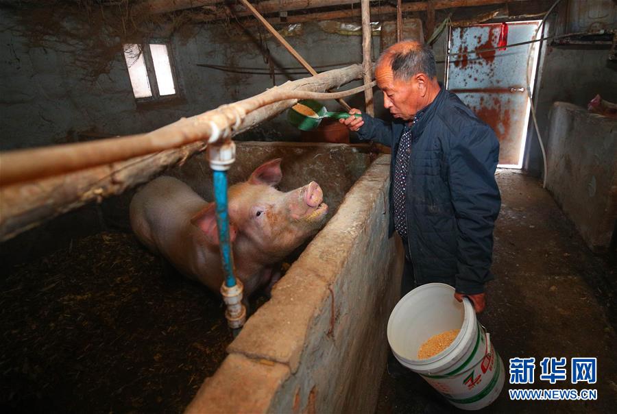 （新春走基層&middot;圖文互動(dòng)）（2）&ldquo;終于有人敢登門給兒子提親了&rdquo;&mdash;&mdash;張景富脫貧記