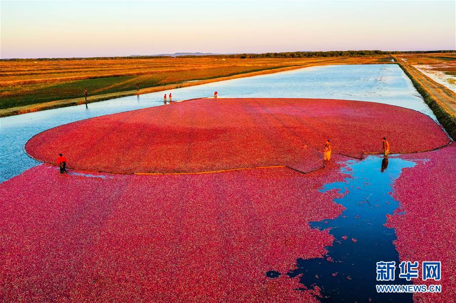 (圖文互動(dòng))(9)從“輕工漁網(wǎng)重工馬掌”到“圓夢小康”——“中國東極”脫貧攻堅(jiān)剪影
