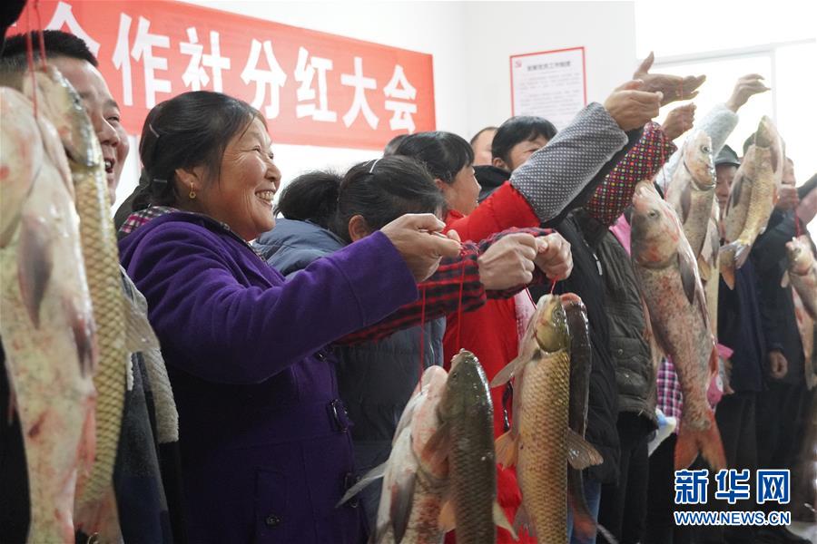 （新春走基層&middot;圖文互動(dòng)）（3）&ldquo;空殼村&rdquo;分紅啦！