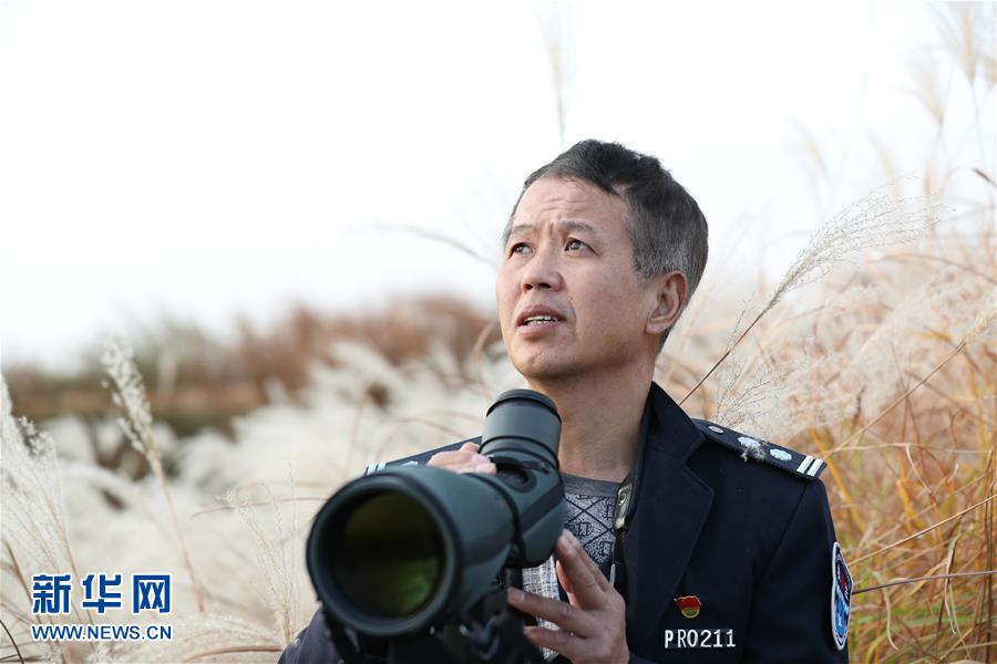 （新春走基層&middot;圖文互動）他們，默默守護(hù)候鳥