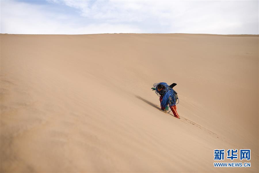 （新春走基層&middot;圖文互動）（3）寒冬里，&ldquo;沙漠玫瑰&rdquo;猶自綻放