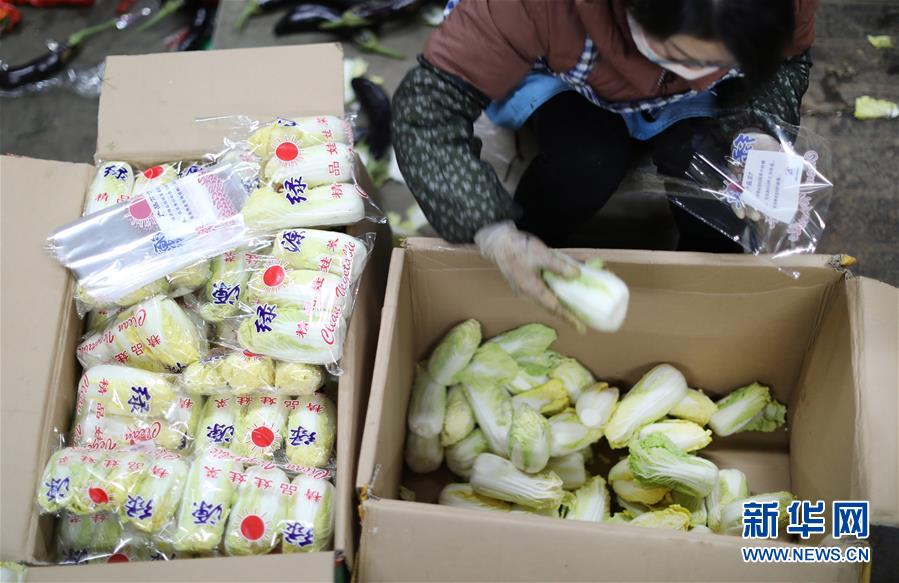 (聚焦疫情防控·圖文互動)(2)特寫:蔬菜批發(fā)市場里感受“春”意