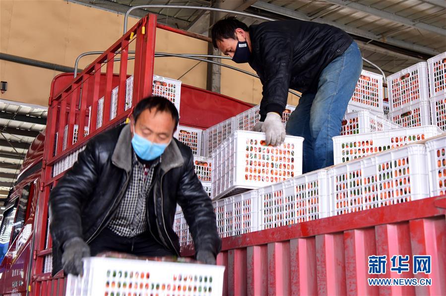 （聚焦疫情防控&middot;圖文互動(dòng)）（5）吃的東西充足，做點(diǎn)花樣菜吧！&mdash;&mdash;中部地區(qū)最大農(nóng)產(chǎn)品批發(fā)市場(chǎng)見(jiàn)聞 