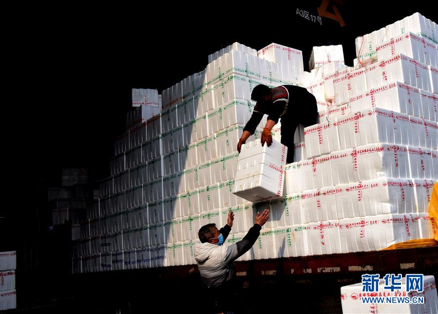 （聚焦疫情防控&middot;圖文互動(dòng)）（4）吃的東西充足，做點(diǎn)花樣菜吧！&mdash;&mdash;中部地區(qū)最大農(nóng)產(chǎn)品批發(fā)市場(chǎng)見(jiàn)聞 