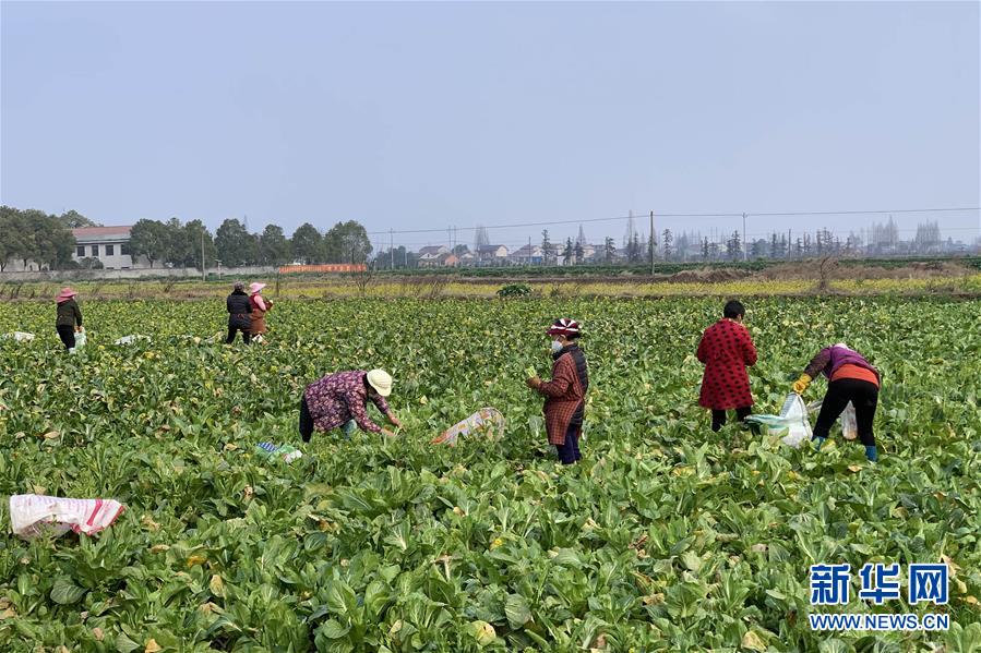 (新華全媒頭條·圖文互動)(4)努力保持生產(chǎn)生活平穩(wěn)有序——抓緊復(fù)工復(fù)產(chǎn)穩(wěn)定經(jīng)濟(jì)運(yùn)行掃描