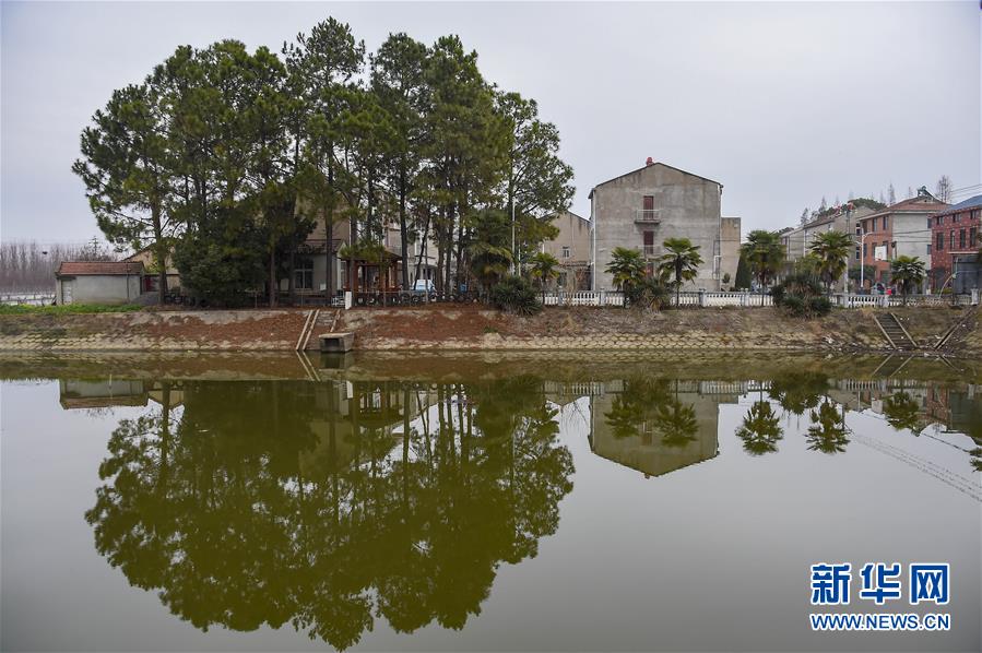 (聚焦疫情防控·圖文互動)(3)一個(gè)湖北村莊的阻擊戰(zhàn)