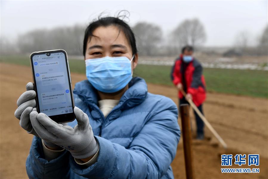 (圖文互動)(2)別樣的春耕——來自農業(yè)大省山東的春耕備耕見聞