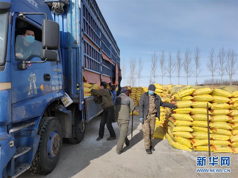 (春耕備耕·圖文互動)(1)“疫”線賽農(nóng)時 播種新希望——產(chǎn)糧大省黑龍江別樣“備耕圖”