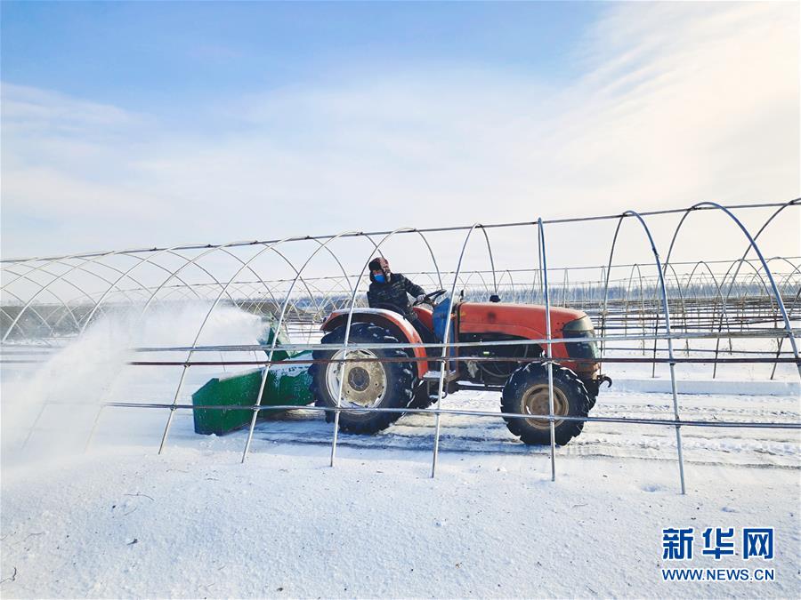 (春耕備耕·圖文互動)(2)“疫”線賽農(nóng)時 播種新希望——產(chǎn)糧大省黑龍江別樣“備耕圖”