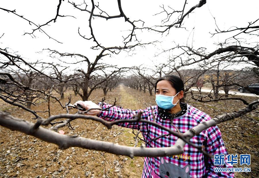 (聚焦疫情防控·圖文互動)(3)農(nóng)民工返城:幾多憧憬幾許等待——走進(jìn)疫情下的河北勞務(wù)輸出專業(yè)村