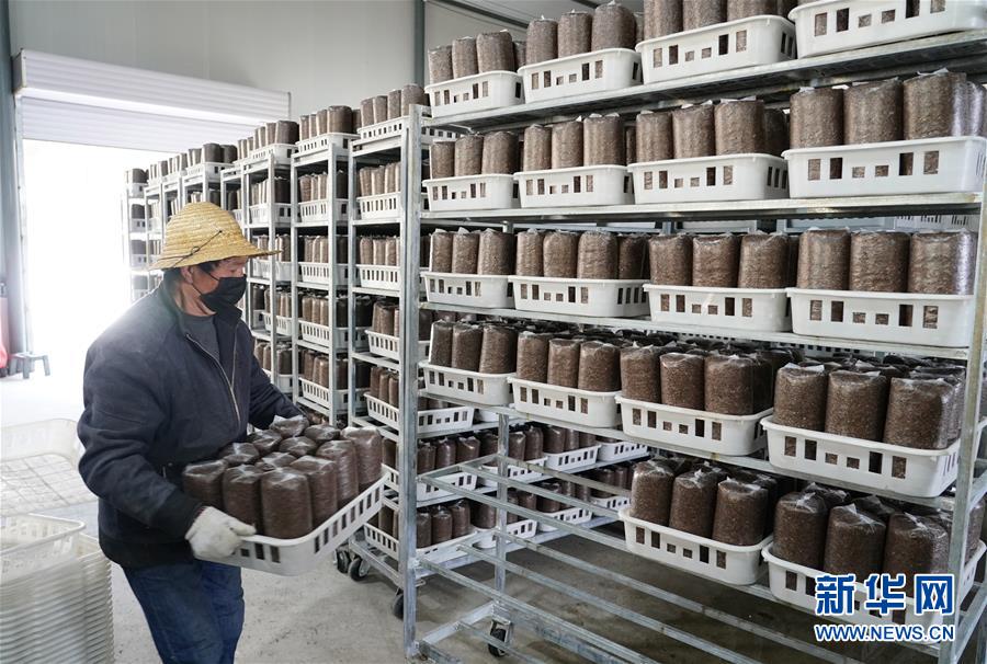 （決戰(zhàn)決勝脫貧攻堅(jiān)&middot;圖文互動(dòng)）（1）秦巴山區(qū)：戰(zhàn)疫戰(zhàn)貧，兩場(chǎng)仗都要打贏