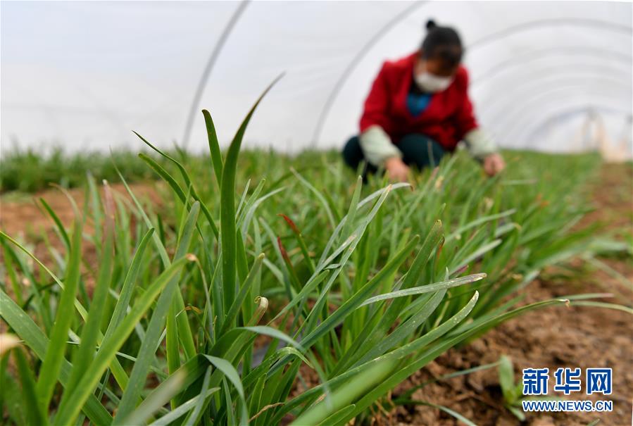 （圖文互動(dòng)）（3）&ldquo;春天到了，熟悉的生活正在慢慢回來(lái)&rdquo;&mdash;&mdash;陜西多地復(fù)產(chǎn)復(fù)工一線見(jiàn)聞