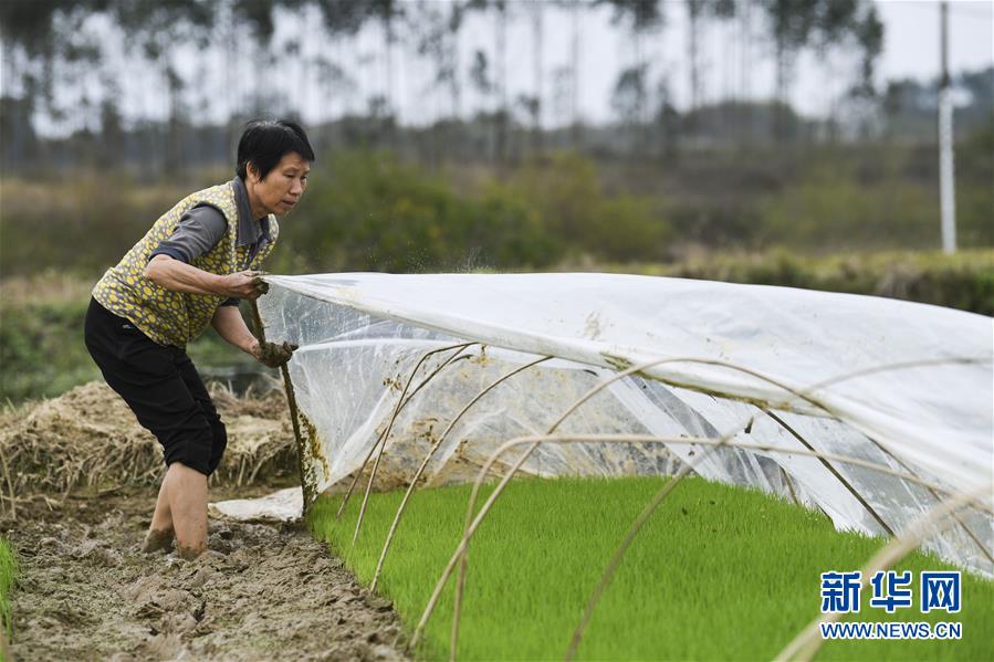 （圖文互動(dòng)）（2）&ldquo;早一天復(fù)工，損失就少一點(diǎn)&rdquo;&mdash;&mdash;廣西以精準(zhǔn)防控推動(dòng)復(fù)工復(fù)產(chǎn)一線見聞