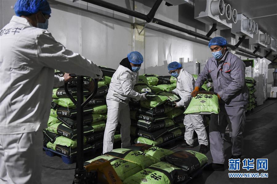 （抓好經(jīng)濟(jì)發(fā)展 應(yīng)對(duì)復(fù)雜局面&middot;圖文互動(dòng)）（1）&ldquo;一企一策&rdquo;解難題 大項(xiàng)目按下&ldquo;加速器&rdquo;&mdash;&mdash;廣西精準(zhǔn)有序推動(dòng)項(xiàng)目開工復(fù)工